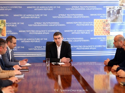 Արցախի պետնախարարը ներկայացրել է էկոնոմիկայի և գյուղատնտեսության նորանշանակ նախարարին