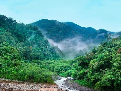 Գիտնականներ. Գլոբալ տաքացման հետեւանքով աշխարհի 40 տոկոսը ծայրահեղ պայմաններում կհայտնվի