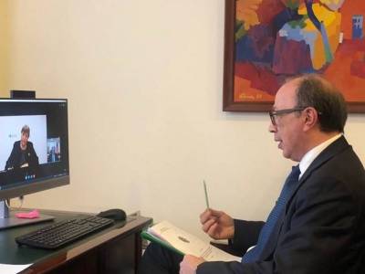 Armenia FM raises issue of Armenian POWs during talk with UN High Commissioner for Human Rights