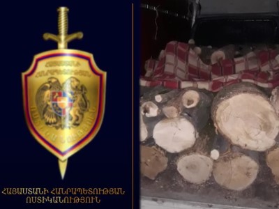 Ապօրինի ծառահատում․ Գուգարքի ոստիկանների հերթական բացահայտումը