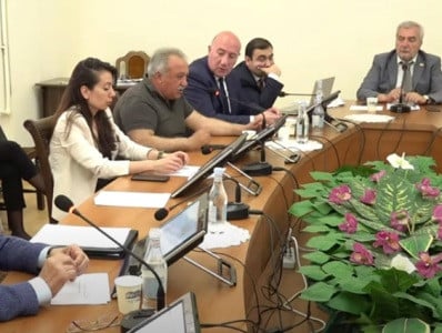 Սյունիքում ամեն պահ թուրքը կարա ճանապարհից մարդ տանի. ոչ մեր սահմանապահներին եմ տեսել, ոչ՝ ռուս. Սասուն Միքայելյան