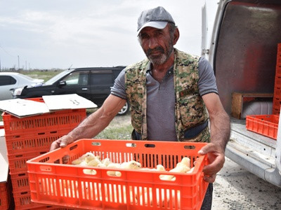 Հարյուրավոր ընտանիքներ 60 հազարից ավելի ճտեր ստացան «Արաքս» թռչնաֆաբրիկայից (ֆոտո)