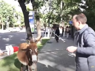 Բաղրամյան պողոտայից բերման ենթարկված աչաջուրցի բնակչի մոտ թմրամիջոցի նմանվող զանգված է հայտնաբերվել. ոստիկանություն