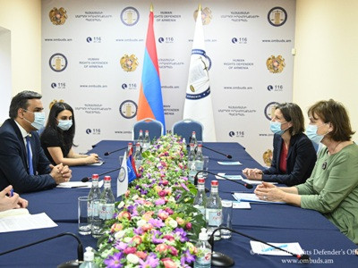 Armenia Ombudsman presents human rights protection in post-war period to CoE Programmes Directorate General