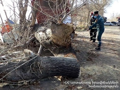 Փրկարարները հեռացրել են ծառը ճանապարհի երթևեկելի գոտուց