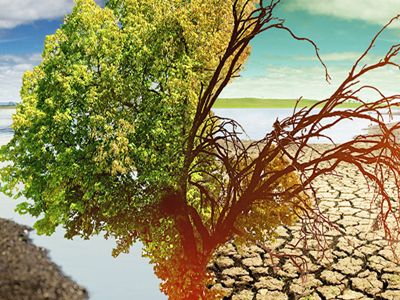 Over 120 Nobel laureates urge G7 countries to step up efforts to tackle climate change