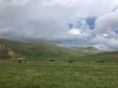 Armenia Ombudsman: Azerbaijanis fire at Gegharkunik Province village shepherd for about 30 minutes