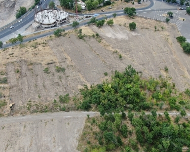 Ծիծեռնակաբերդի համայնքապատկան անտառային գոտին վերականգնվում է