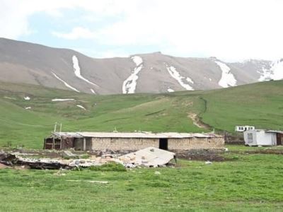 Armenia ombudsman: Azerbaijan soldiers stole cow, newborn calf from Gegharkunik Province village pasture shepherd