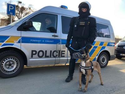1 injured in Prague shooting