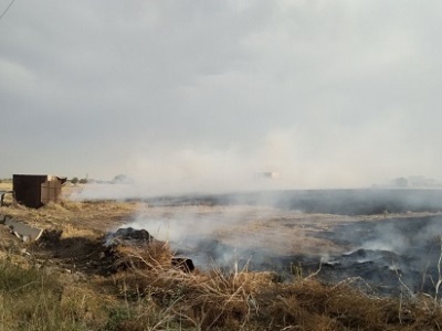 Այրվել է մոտ 35 հա ցորենի հնձած արտ