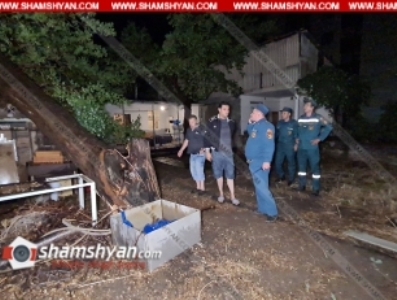 Արտակարգ դեպք Երեւանում․ Արաբկիրում հսկայական թթենին կոտրվել և ընկել է շինության վրա