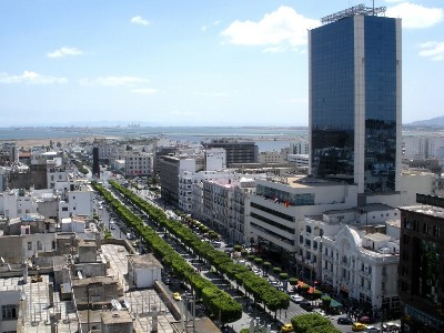 Թունիսի խոշորագույն կուսակցությունը քաղաքական երկխոսության կոչ է արել