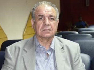 Հողերը Թուրքիայից ազատագրելու համար արաբա-քրդական միասնությանը այլընտրանք չկա. եգիպտացի քաղաքական գործիչ