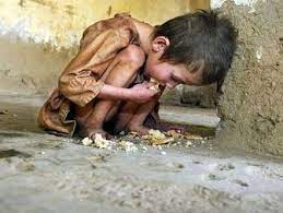 14 million people in Afghanistan face severe hunger