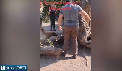 Քաղաքացին կոտրել է Հաղարծինի «Երազանքների ծառը»