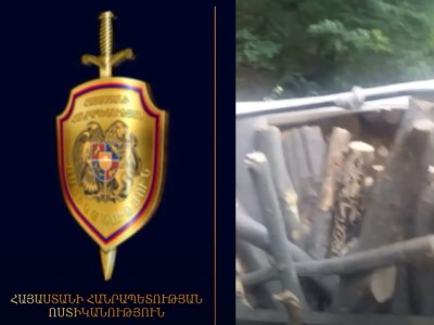 Գուգարքի ոստիկաններն ապօրինի ծառահատման դեպք են բացահայտել