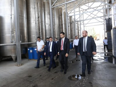 Armenia Deputy PM Suren Papikyan introduced to grape procurement issues in Armavir