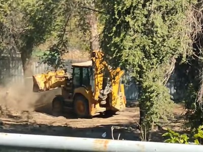 Yerevan neighborhood residents raise alarm on destruction of trees in area