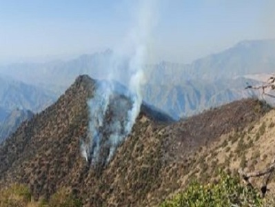 «Արևիկ» ազգային պարկի տարածքում հրդեհը դեռ չի մարվել. Մեկնել է 32 փրկարար