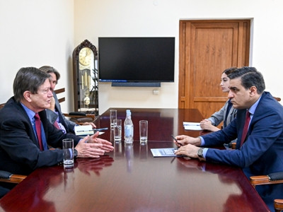Armenia Ombudsman receives US ex-Ambassador, presents Azerbaijan's violations of borderline residents' rights