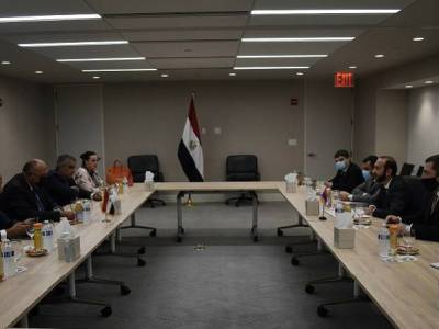Foreign Ministers of Armenia and Egypt discuss bilateral cooperation