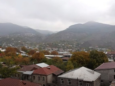 Անվտանգության մեծ խնդիրներ ունենք, մեր երկրի ղեկավարն ասում ա՝ մեր հողերը թուրքինն ա. գորիսեցի