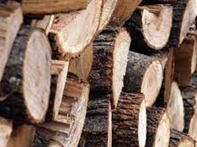 Գանձաքար գյուղի հարակից տարածքում հայտնաբերվել էր փայտանյութով բեռնված Զիլ-ը