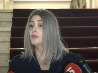 Կարծում եմ, որ այս հարձակումը պայմանավորված է նաեւ նրանով, որ երեկ հերթական անգամ փոխվեց Պնախարարը. Էլինար Վարդանյան