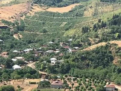 Azerbaijan opened fire on Artsakh village tractor operator, says Machkalashen mayor