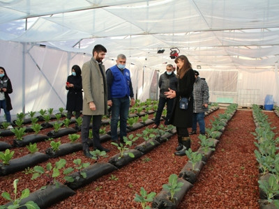 Հայաստանի տարբեր մարզերի դպրոցներում ներդրվում են ժամանակակից ջերմատներ և ինտենսիվ այգիներ. Էկոնոմիկայի նախարարություն