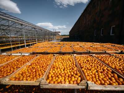 Արտահանման ամենաբարձր աճը՝ 2020-2021-ին․ արձանագրում են «Առևտրի համար պատրաստ» ծրագրից օգտվող ընկերությունները