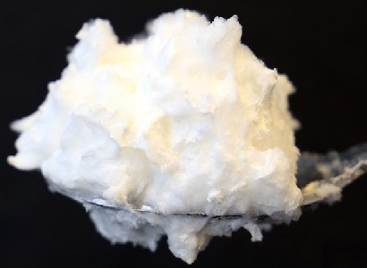 Researchers create substitute for egg whites from fungus