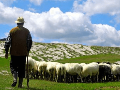 Armenian shepherd kidnapped by Azeris handed over Russian side