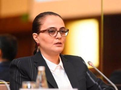 'Zangezur corridor' will unite Turkic world, says Azerbaijan presidential office official