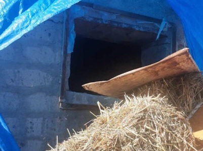 Արմավիրի ոստիկանները թարմ հետքերով բացահայտեցին անասնագողությունը՝ հայտնաբերելով գողոնը