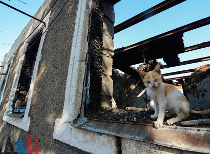 Luhansk and Donetsk report shelling and civilian casualties