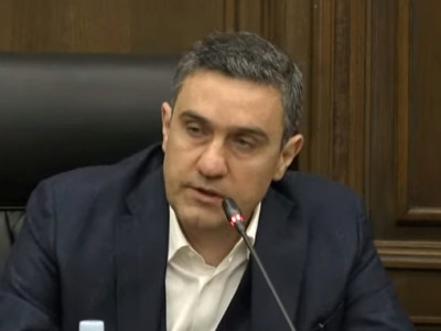 Opposition MP: Azerbaijan delegation should not have been allowed to visit Armenia