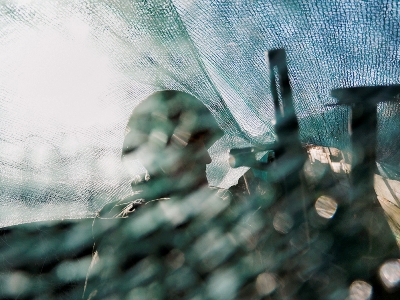 Donetsk and Luhansk launch offensive, supported by Russian forces