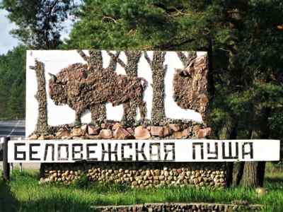 Լեհաստանը ցանկապատով կփակի Բելովեժսկայա պուշչան