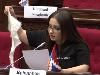 Քրիստինե Վարդանյանը եկել էր ԱԺ ու իր հետ «տրյապկա» բերել․ «Հայաստանի անունից հիմա բանակցում է սա»