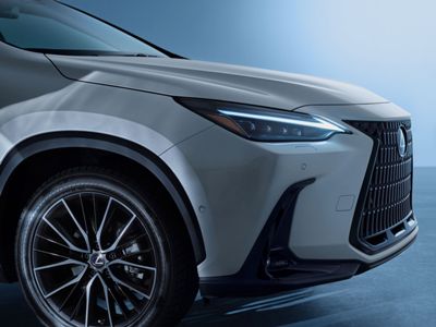 Wall Street Journal: 8,000 luxury cars destined for Russia stuck in Belgium due to sanctions