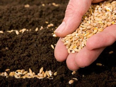 'Greatest famine in history' could start globally in 2023 due to fertilizer shortage