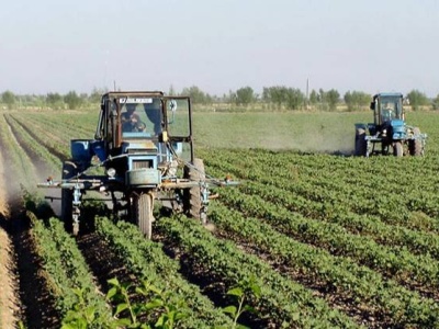 Հայաստանը կրճատում է բույսերի հիվանդությունների եւ վնասատուների դեմ պայքարի ծրագիրը