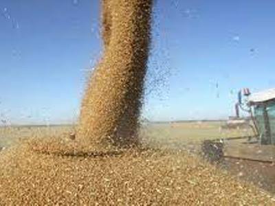 Ukraine exports wheat reserves from Odessa to Europe