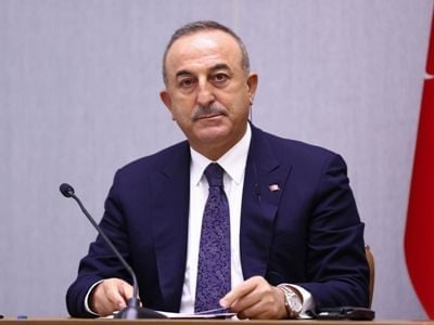 Cavusoglu says they have legitimate security concerns over Finland and Sweden's NATO membership