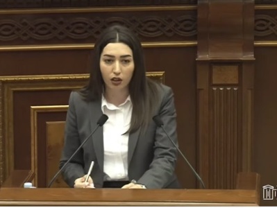 Armenian parliament discusses new Penitentiary Code