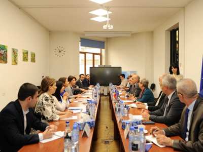 Թագուհի Թովմասյանը ԵՄ դեսպաններին ներկայացրել է ոստիկանների կողմից գործադրվող անհամաչափ ուժը
