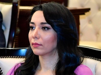 Azerbaijani ombudswoman demands 'to take thorough measures against Armenia'