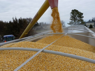 Russia FM to discuss export of Ukrainian grain in Turkey